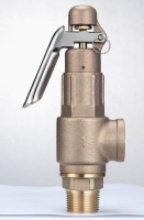 Safety Valve