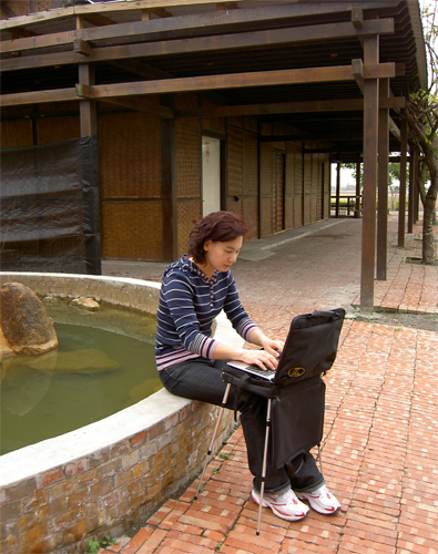 Portable Laptop Desk & Bag