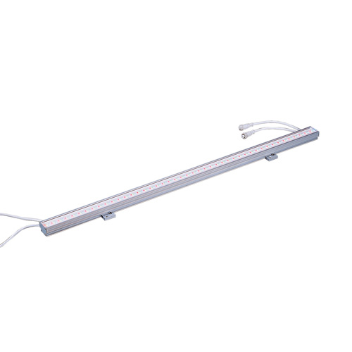 LED Linear Light (Φ5)