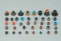 Oil Seals