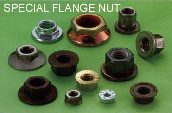 SPECIAL FLANGE NUT