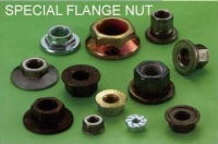 SPECIAL FLANGE NUT