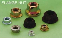 FLANGE NUT