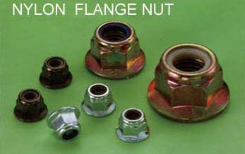 NYLON  FLANGE NUT