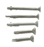 Self-drilling Screw