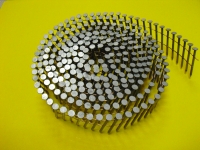 HDG Coil Nail