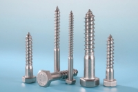 Hex Head Lag Screws