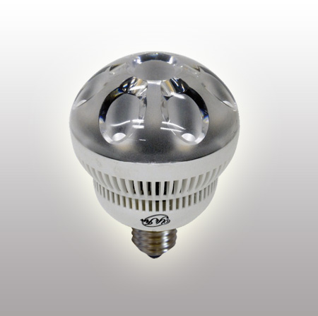 LED BULBS