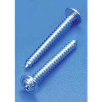 Self-tapping Screw