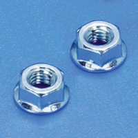 Hex Flange Nut