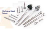 stainless steel screw