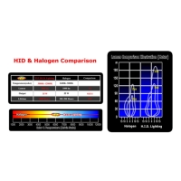 HID氙氣頭燈系統