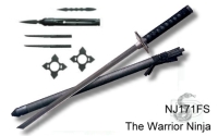 Thw Warrior Ninja