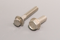 FLANGE BOLT