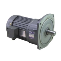 Vertical Gear Reducer