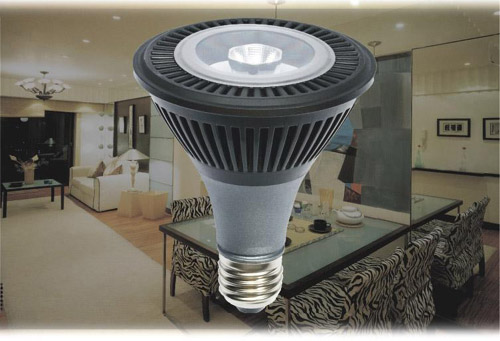 LED Flood - L500M6-PAR30