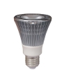 9W PAR20 LED Lamp