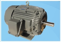 Explosion-proof Electric Motor