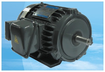 DC Brake Motor