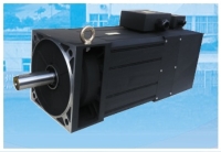 Induction Servomotor