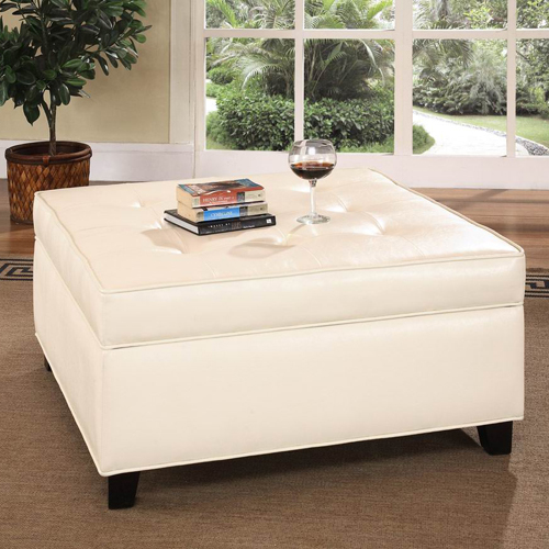 Fashion Ottoman with Storage