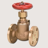 Globe & Angle Valves for Marine Applications