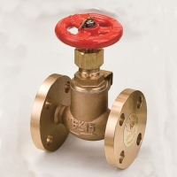 Globe & Angle Valves for Marine Applications