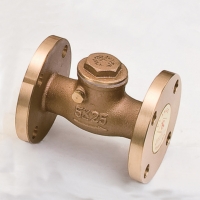 Swing Valves