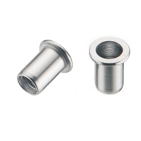 Flat Head Rivet Nut