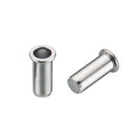 Flat Head Rivet Nuts