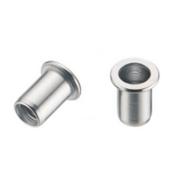 Flat Head Rivet Nuts