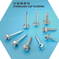 Stainless Cap Screws