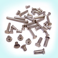 Rivet Screw