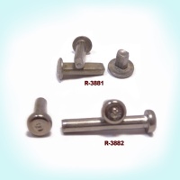 Rivet Screw