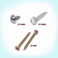 Self Tapping Screw