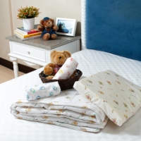 Children Pillow + Pillow Cover + Quilt