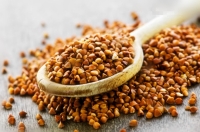 Golden buckwheat grain