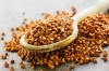 Golden buckwheat grain