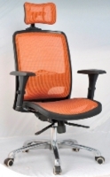 All mesh chair Director chair