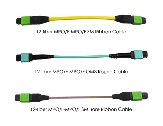 12-Fiber MPO (F) - MPO (F)