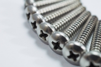 Stainless Steel Screw