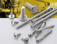 Stainless Steel Screw