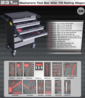 231PC MECHANIC’S TOOLS WITH 7D ROLLING WAGON