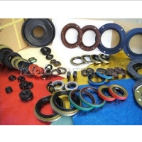 Oil Seal