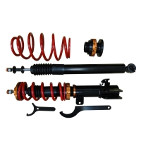 Vertical-strut shock absorber