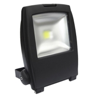 LED Flood Light