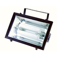 Flood Luminaire