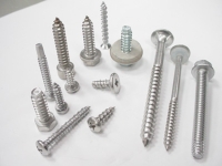 Self Tapping Screws