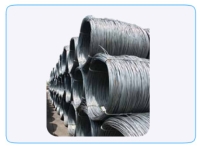 Coil (Wire Rod)