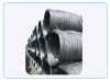 Coil (Wire Rod)